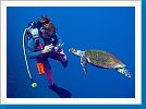 Diver and Green sea turtle
